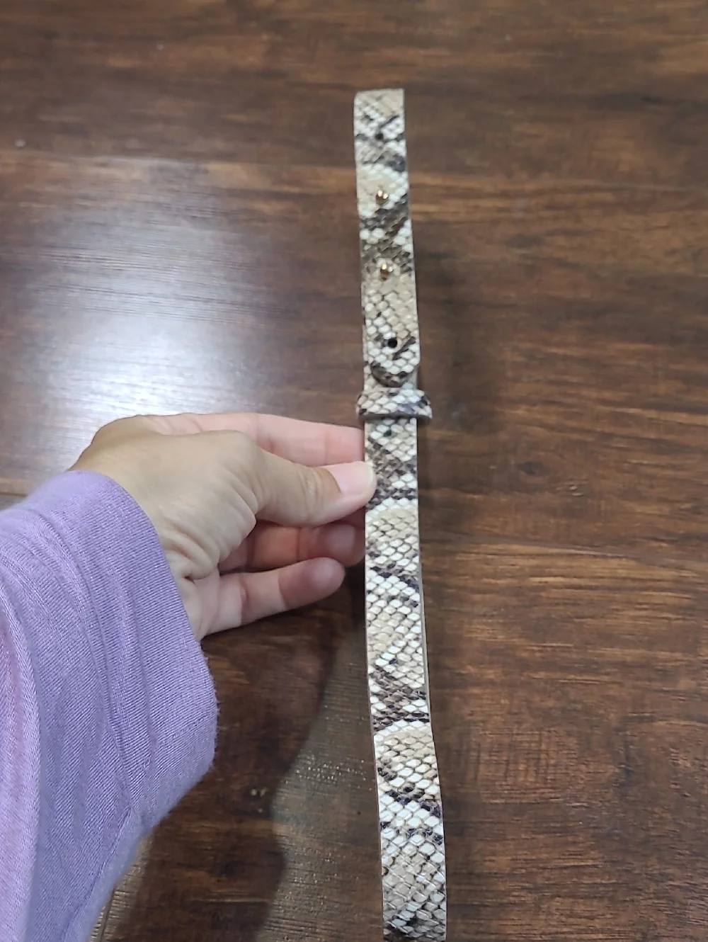 White House Black Msrket Snake-Print Reptile Collar — Beige/Brown Size Xs